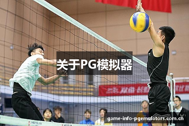 关于PG模拟器